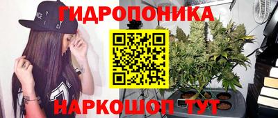 гидра Апрелевка