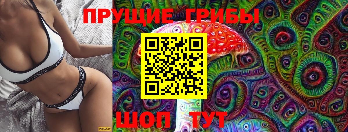 Сертолово  Псилоцибиновые грибы GOLDEN TEACHER  Вход с VPN  Галлюциногенные грибы Magic Shrooms 