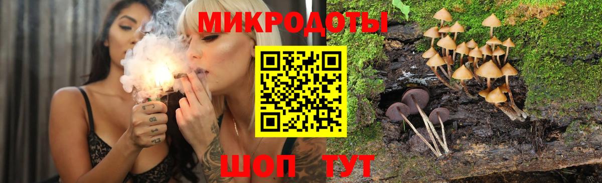 Галлюциногенные грибы Cubensis Сертолово
